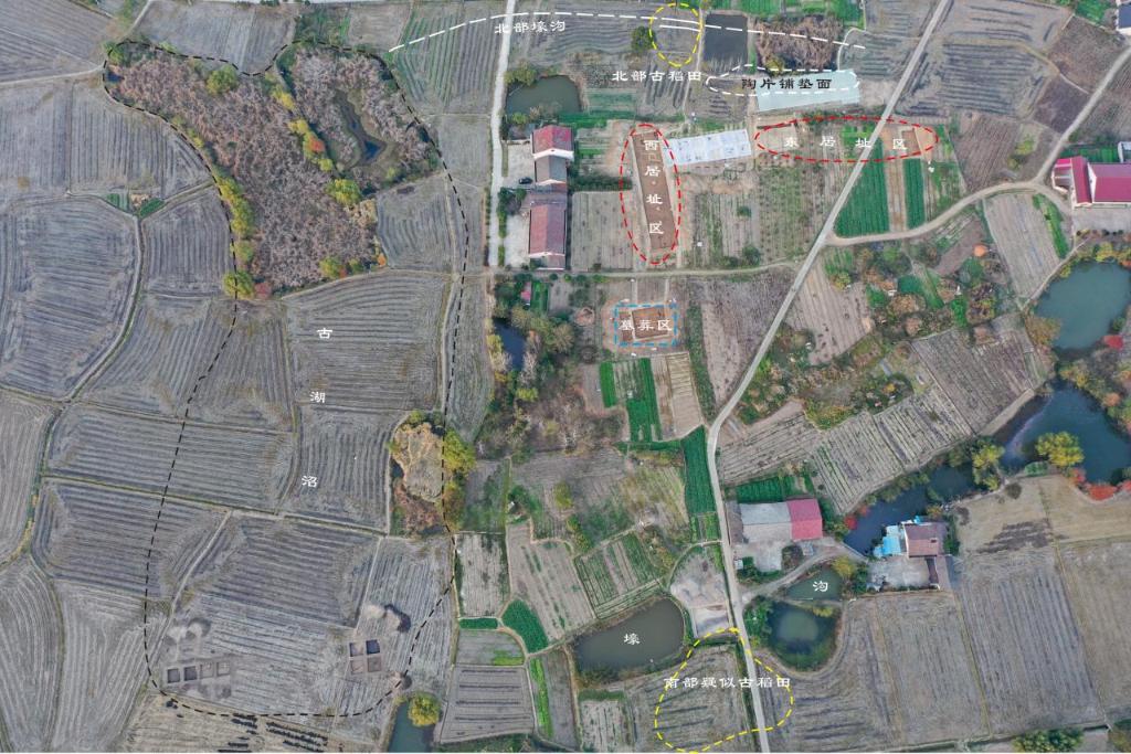 的先民8000多年前就在种水稻不朽情缘游戏手机版实锤！这里(图3)