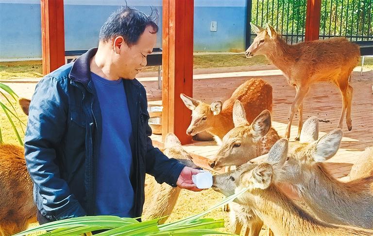 质量发展产业调研】林下生金不朽情缘平台登录网页【高
